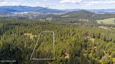 Rare opportunity to own one of the most elevated, private - photo 17