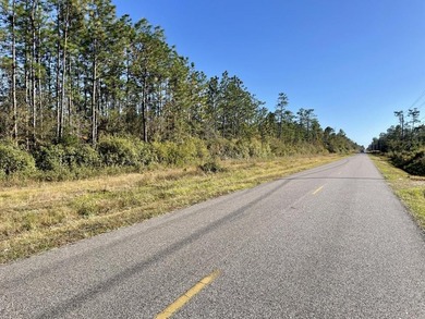 This versatile & divisible waterfront tract with quick access to - photo 3