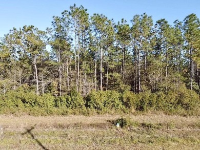 This versatile & divisible waterfront tract with quick access to - photo 6