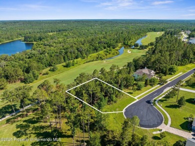 Lake Lot Sale Pending in Brooksville, Florida