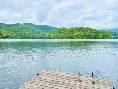 Lake Home For Sale in Robbinsville, North Carolina