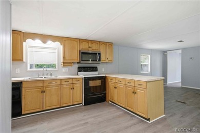 Experience the gold standard of energy efficiency in Homosassa! - photo 3