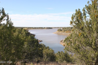 White Mountain Lake Lot For Sale in Show Low Arizona