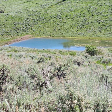 (private lake, pond, creek) Acreage For Sale in Gateway Colorado