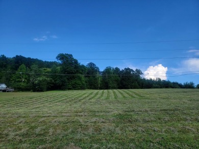 Watts Bar Lake Lot For Sale in Spring City Tennessee