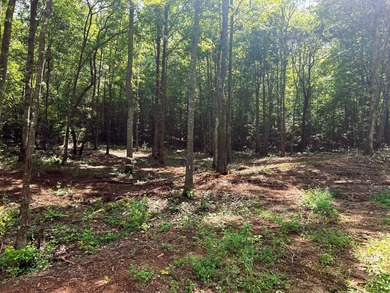 Watts Bar Lake Lot For Sale in Ten Mile Tennessee