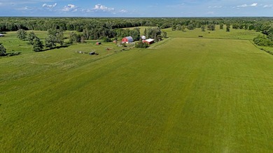 Classic Hobby Farm & Equestrian Property on Beautiful - photo 23