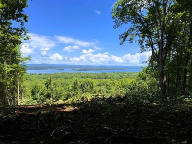 (private lake, pond, creek) Lot For Sale in Ten Mile Tennessee