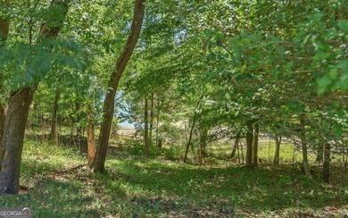 Nestled along the shores of Lake Hartwell, this charming cottage - photo 42
