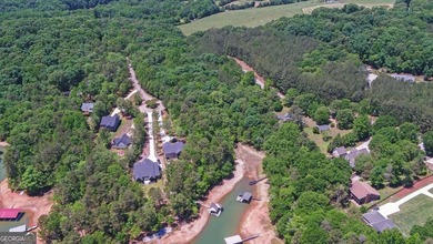 Nestled along the shores of Lake Hartwell, this charming cottage - photo 46