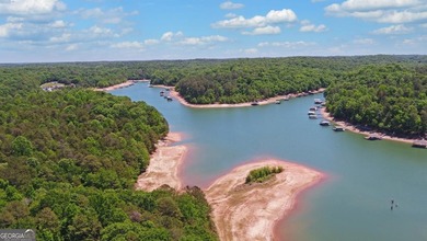 Nestled along the shores of Lake Hartwell, this charming cottage - photo 48