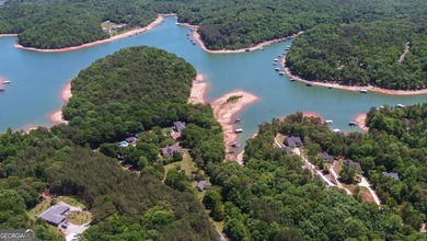 Nestled along the shores of Lake Hartwell, this charming cottage - photo 51