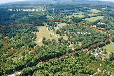 Lake Home For Sale in Cadet, Missouri