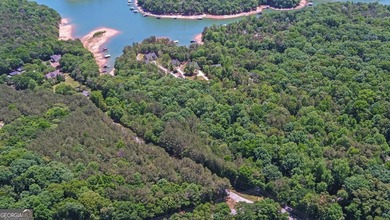 Nestled along the shores of Lake Hartwell, this charming cottage - photo 52