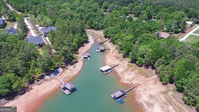 Nestled along the shores of Lake Hartwell, this charming cottage - photo 53