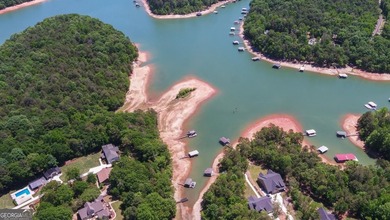 Nestled along the shores of Lake Hartwell, this charming cottage - photo 54