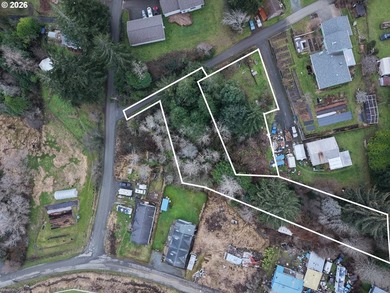 Build Your Vision on a Peaceful Wooded 0.71-Acre Property! This - photo 1