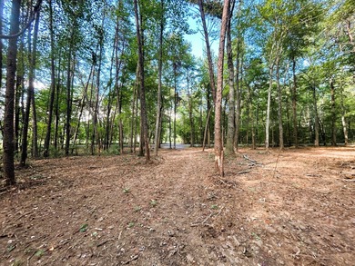 Lake Lot For Sale in Ten Mile, Tennessee
