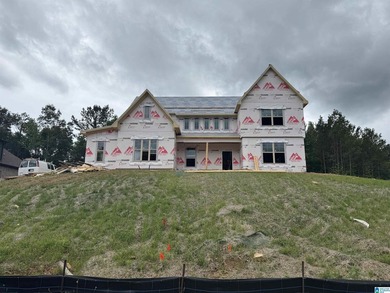Our brand new Anna Ray plan, sitting on just over an acre, is - photo 2