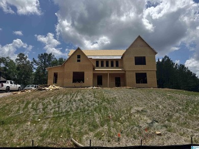 Our brand new Anna Ray plan, sitting on just over an acre, is - photo 3