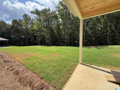 Our brand new Anna Ray plan, sitting on just over an acre, is - photo 8