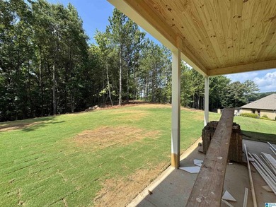 Our brand new Anna Ray plan, sitting on just over an acre, is - photo 10