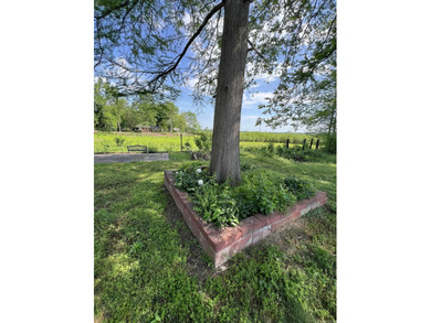 Lakefront fixer-upper with incredible potential! Prime location - photo 17