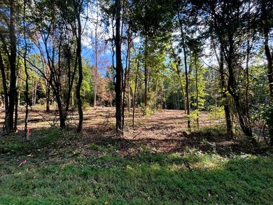 Watts Bar Lake Lot For Sale in Ten Mile Tennessee