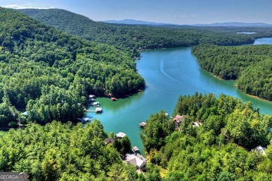 Welcome to one of Lake Blue Ridge's most extraordinary - photo 34