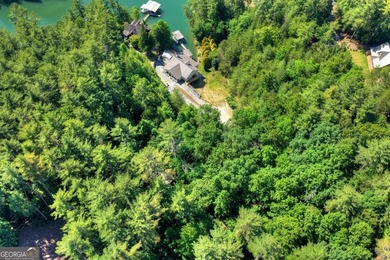 Welcome to one of Lake Blue Ridge's most extraordinary - photo 38