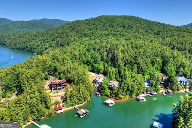 Welcome to one of Lake Blue Ridge's most extraordinary - photo 39