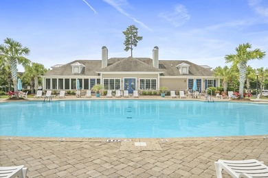 Welcome to 437 Coral Harbor Drive in the highly sought-after - photo 43