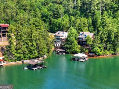 Welcome to one of Lake Blue Ridge's most extraordinary - photo 49