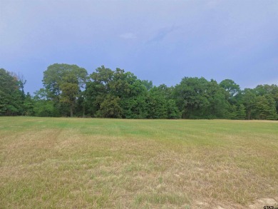 Lake Lot For Sale in Mount Pleasant, Texas
