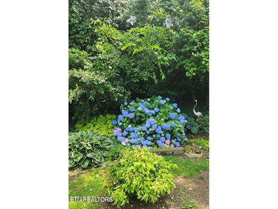 Charming Home in Hardin Valley with Room to roam and relax - photo 19