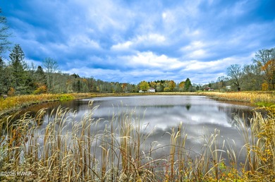 (private lake, pond, creek) Acreage For Sale in Honesdale Pennsylvania