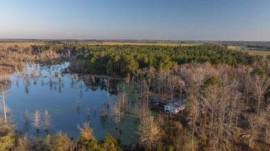 (private lake, pond, creek) Home For Sale in Pineview Georgia