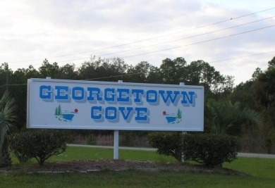 Lake Lot For Sale in Georgetown, Florida