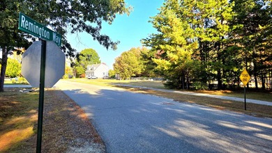 Motivated Seller! The last build lot in the desirable Remington - photo 3