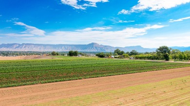 Colorado River Acreage For Sale in Grand Junction Colorado