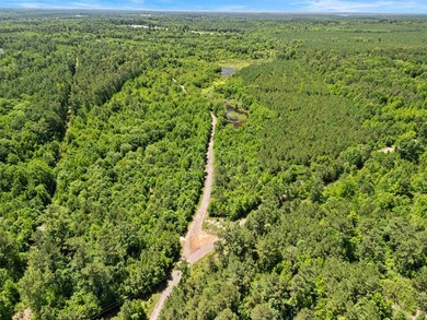 Escape to the peace and privacy of this stunning 29.16-acre - photo 2
