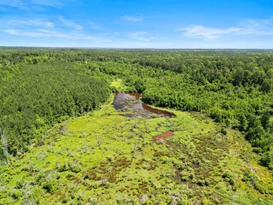 Escape to the peace and privacy of this stunning 29.16-acre - photo 4