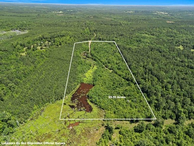 Escape to the peace and privacy of this stunning 29.16-acre - photo 5