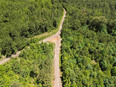 Escape to the peace and privacy of this stunning 29.16-acre - photo 6