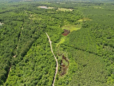 Escape to the peace and privacy of this stunning 29.16-acre - photo 7