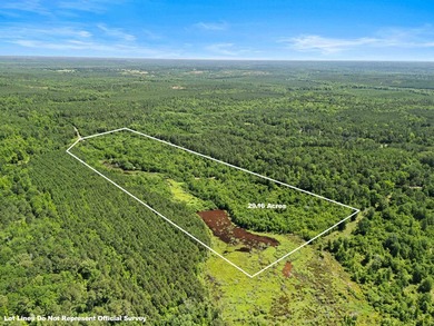 Escape to the peace and privacy of this stunning 29.16-acre - photo 9