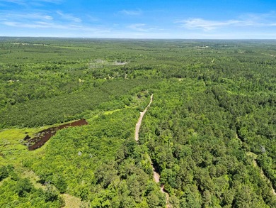 Escape to the peace and privacy of this stunning 29.16-acre - photo 10