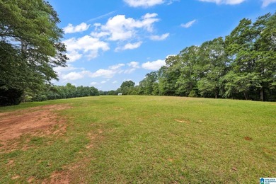 Nestled on over 13 breathtaking acres in Cleveland, this - photo 31