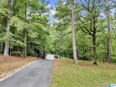Nestled on over 13 breathtaking acres in Cleveland, this - photo 39