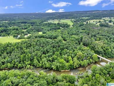 Nestled on over 13 breathtaking acres in Cleveland, this - photo 45
